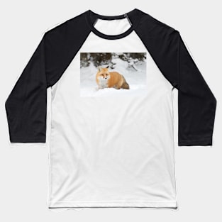 Red Fox - Algonquin Park Baseball T-Shirt